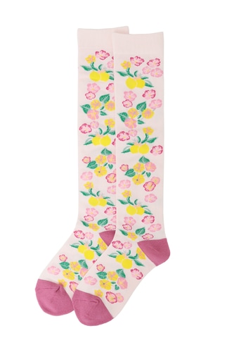 ソックス 詳細画像 ピンク/007